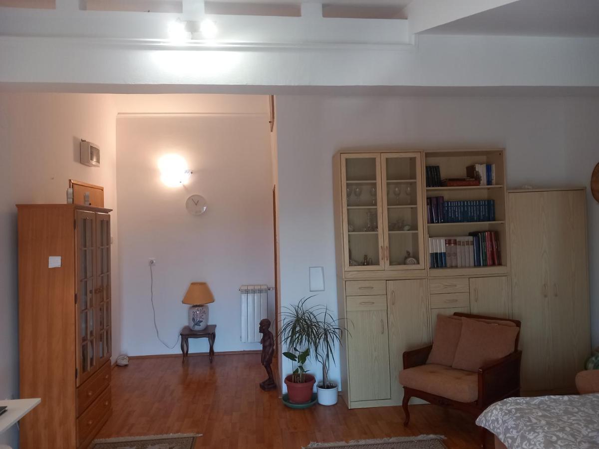Cosy Rooftop Studio With Balcony Belgrad Exteriör bild